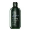 Paul Mitchell Lavender Mint Moisturizing Shampoo 300 Ml